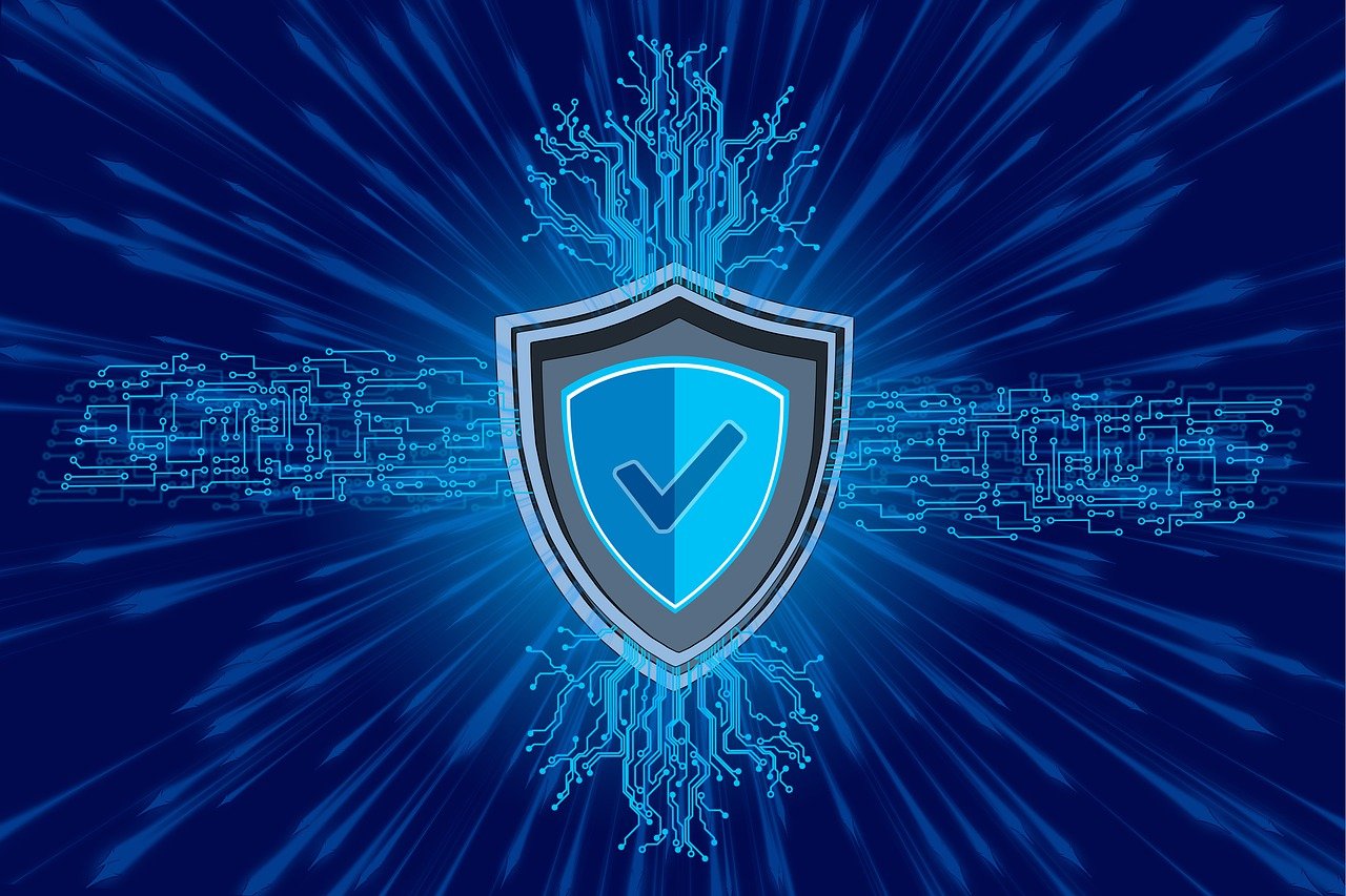 Ransomware Protection: VPN and Encryption as a First Line of Defense